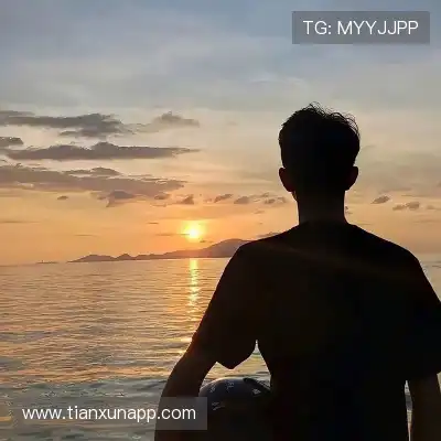 何鹰辉